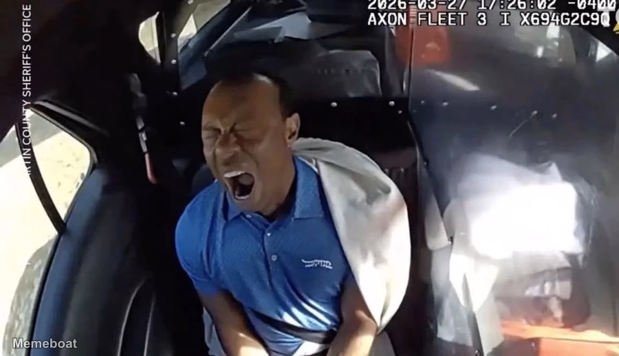 Tiger Woods Yawning/Screaming While in Cop Car - meme generator image preview