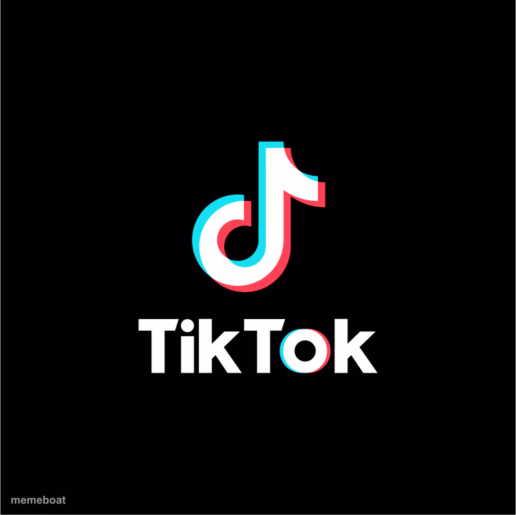 tiktok logo - meme generator image preview
