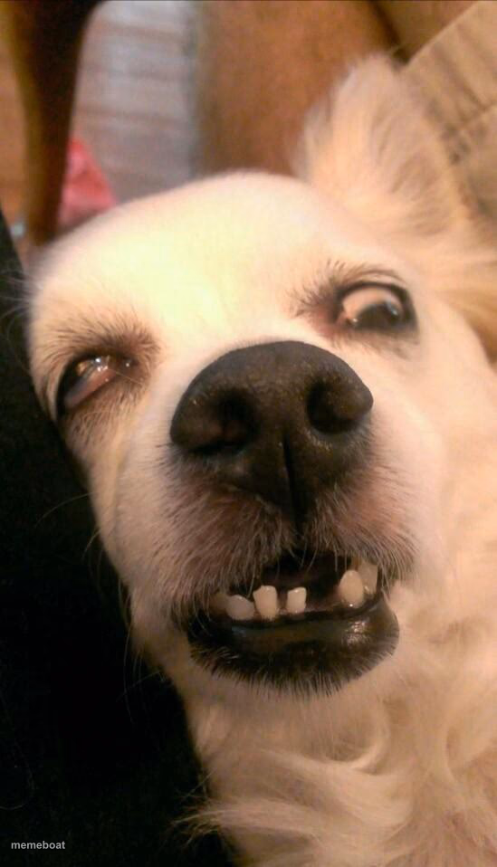 Tired? - meme generator image preview
