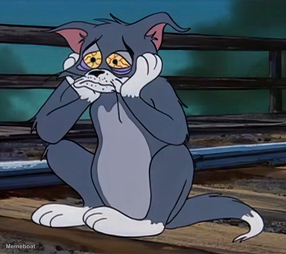 Tired Tom - meme generator image preview