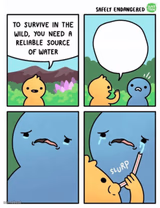 To Survive We Need Water