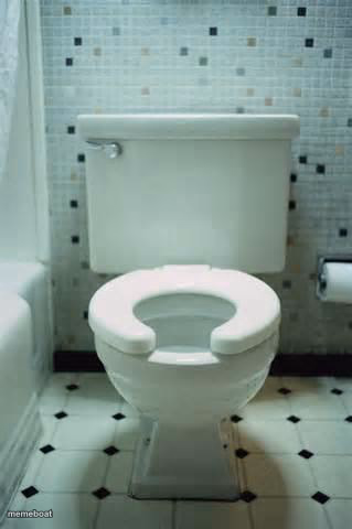 toilet - meme generator image preview