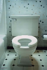 toilet