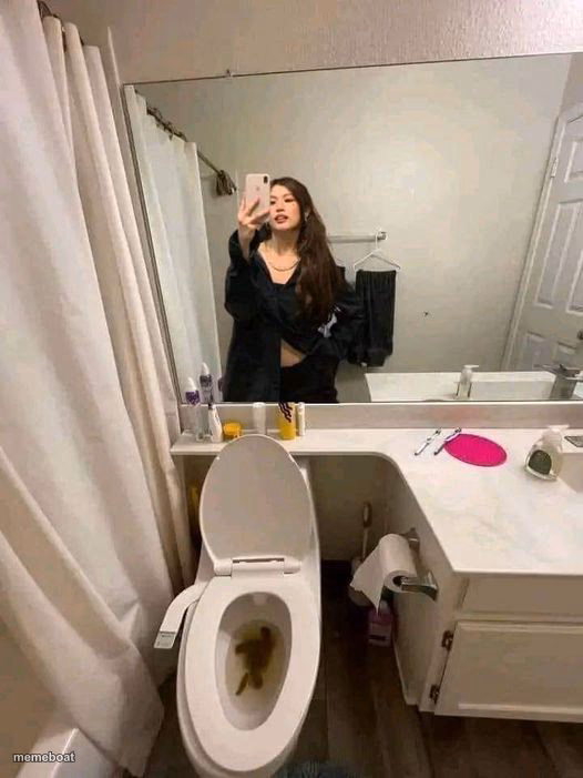 Toilet - meme generator image preview