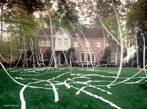 Toilet Paper house - meme generator image preview