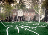Toilet Paper house