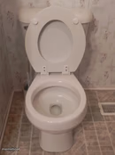 toilet seat up