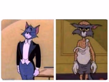 Tom Cat