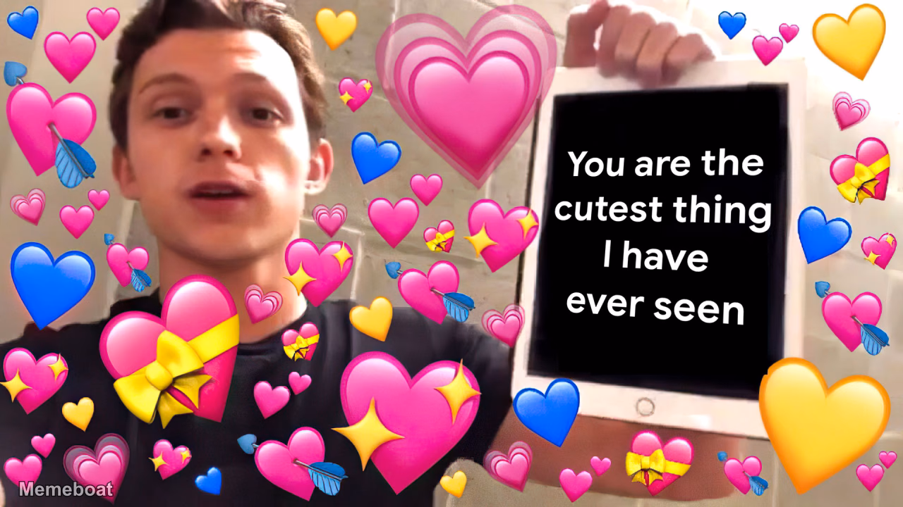 Tom Holland "You Are the Cutest Thing" - meme generator image preview