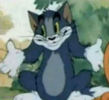 tom i dont know meme