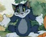 Tom Shrugging