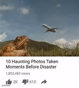 Too 10 photos taken seconds before disaster