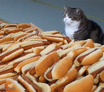 Too many hot dogs - meme generator image preview