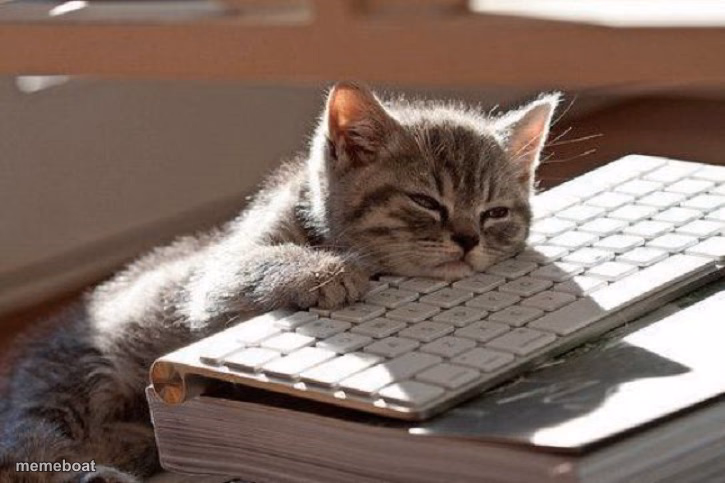 Too Tired - meme generator image preview