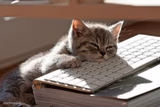 Too Tired
