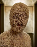 Tooth Fairy