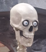 Traumatized Skeleton