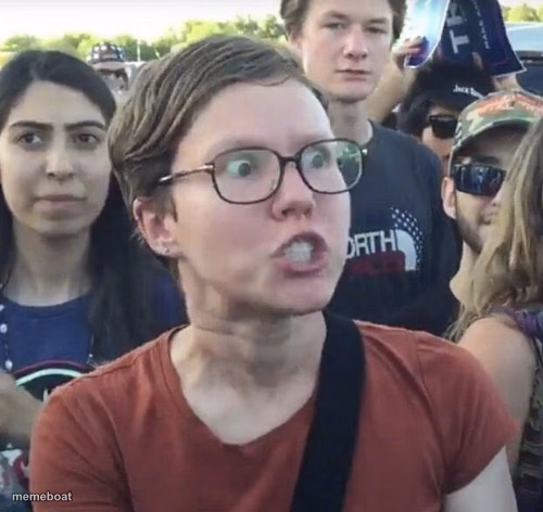 Triggered feminist - meme generator image preview