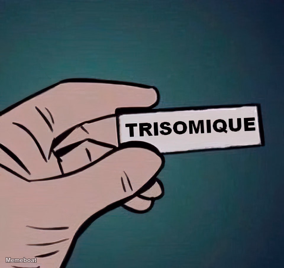 Trisomique Hand - meme generator image preview