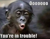 Trouble