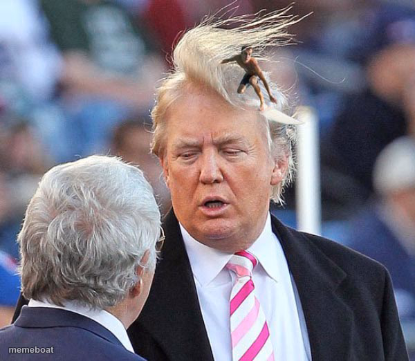 Trump Hair Surfer - meme generator image preview
