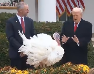 Trump Turkey