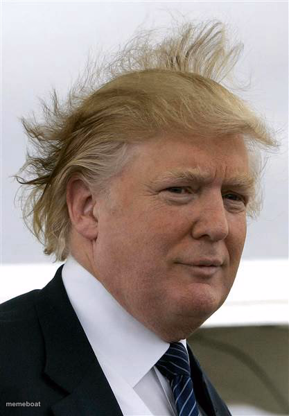 Trump's Hair - meme generator image preview