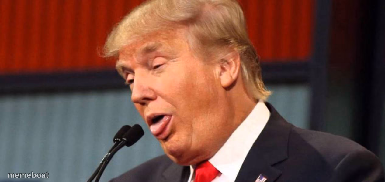 trumptard - meme generator image preview