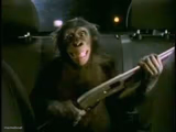 Trunk Monkey with gun
