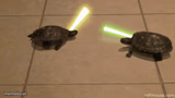 Turtle Lightsaber Duel