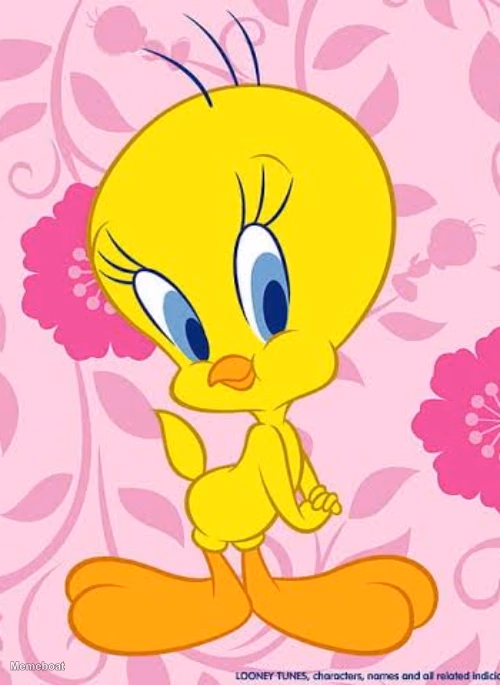 Tweety Bird Birthday - meme generator image preview