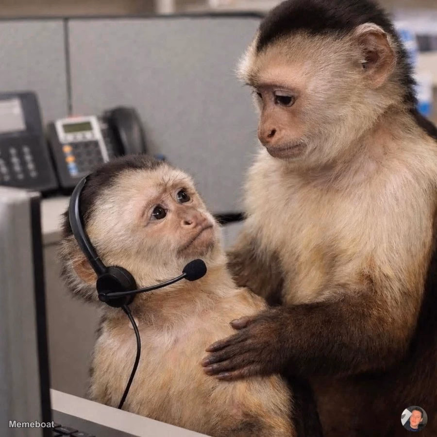 Two Monkeys in an Office - meme generator image preview