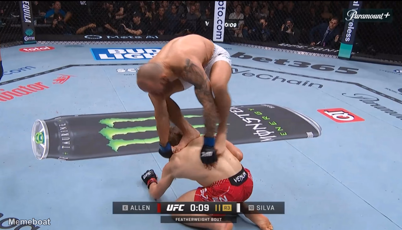 UFC 324 Silva Surfer - meme generator image preview