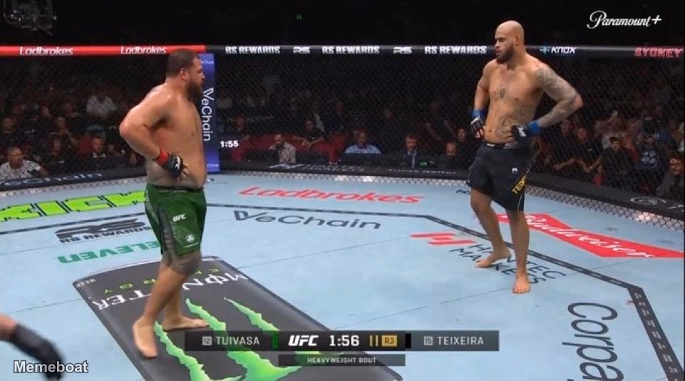 UFC Tuivasa Teixeira Tired - meme generator image preview
