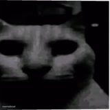 Uncanny cat