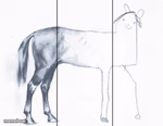 unfinished horse