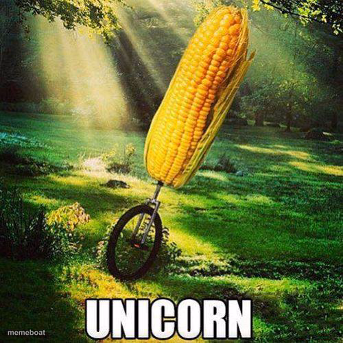 UNICORN - meme generator image preview