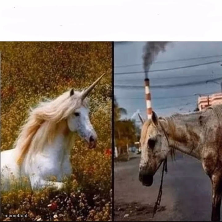 Unicorn vs dirty horse - meme generator image preview