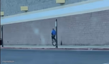 Unicycle