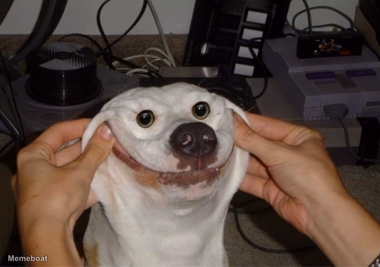 Unsettled Dog - meme generator image preview