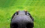 upvote