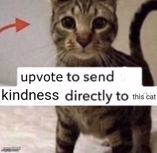 Upvote to send kindness directly to this cat - meme generator image preview