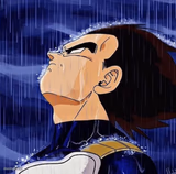 Vegeta in the rain