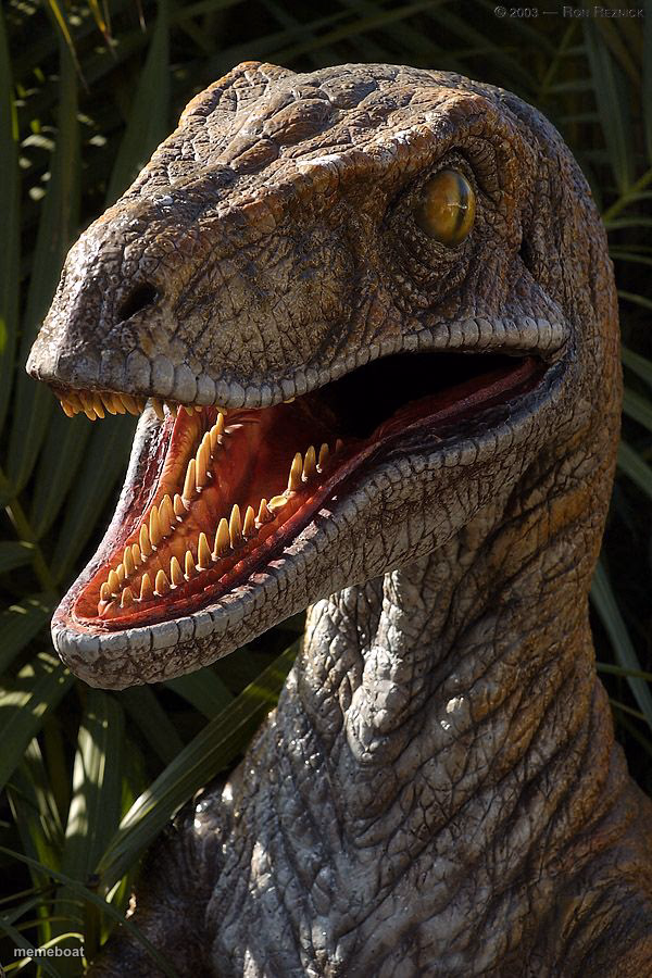 velociraptor - meme generator image preview