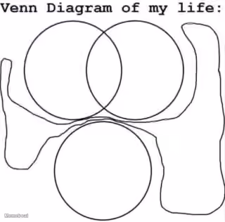 Venn Diagram of My Life