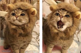 Very cute