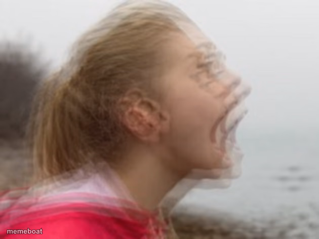 Vibrations - meme generator image preview