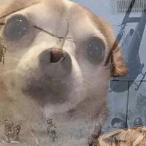 Vietnam Flashback Dog - meme generator image preview