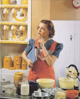 Vintage Kitchen Query