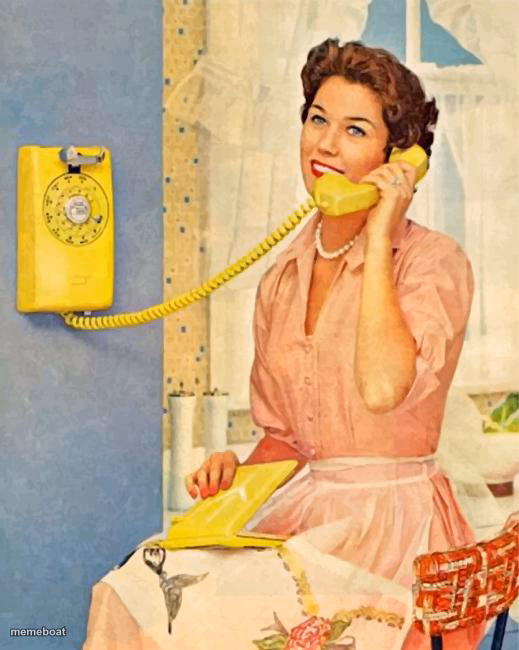 Retro Housewife On Phone - meme generator image preview